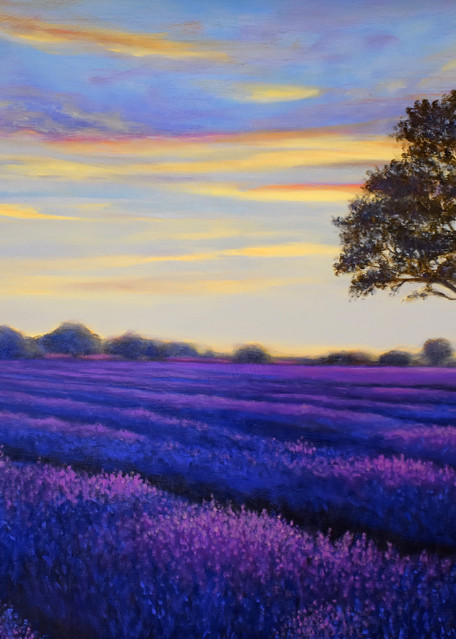 Lavender Sunset Art | Lino Laure Art Gallery
