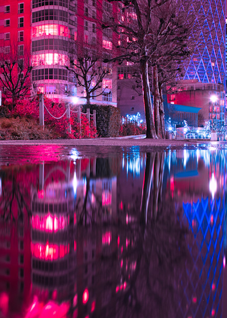 Pink Puddle Place Art | Martin Geddes Photography