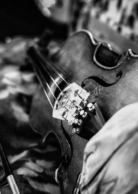 Bw Fiddle Photography Art | Lance Haynes