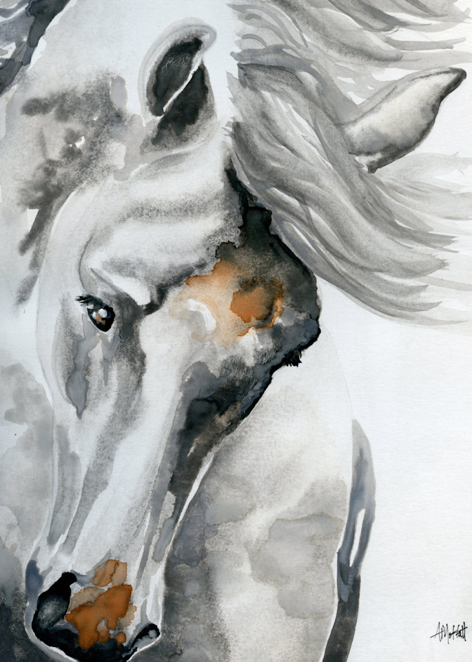 Giclee Print "White Horse Tossing His Head" by April Moffatt