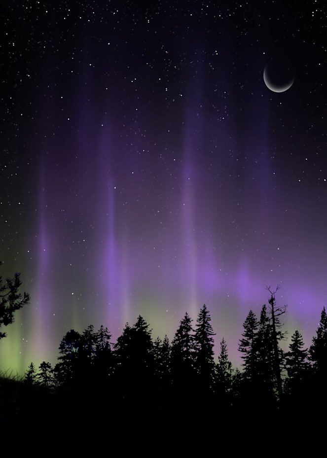 Aurora Through The Trees Art | Art from the Soul