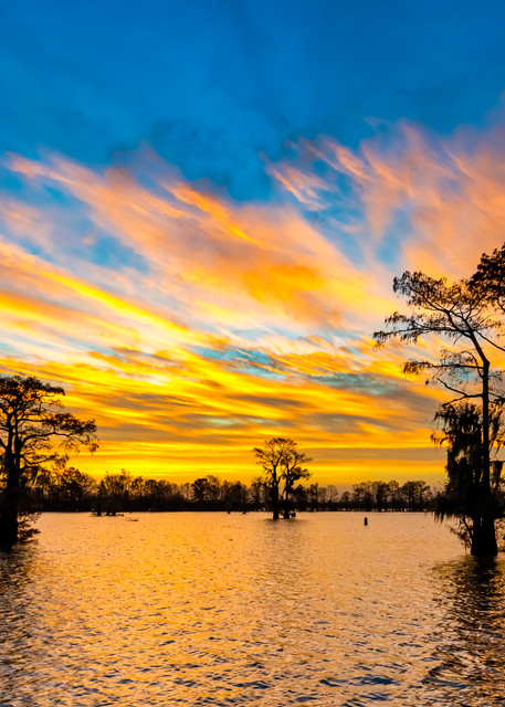 New Year Rising - Louisiana swamp sunrise photography prints