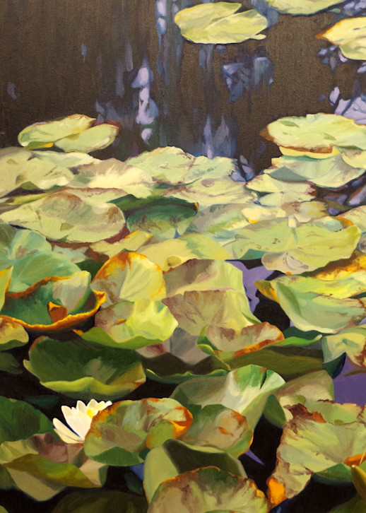 Pond Garden In Fall Art | Helen Vaughn Fine Art