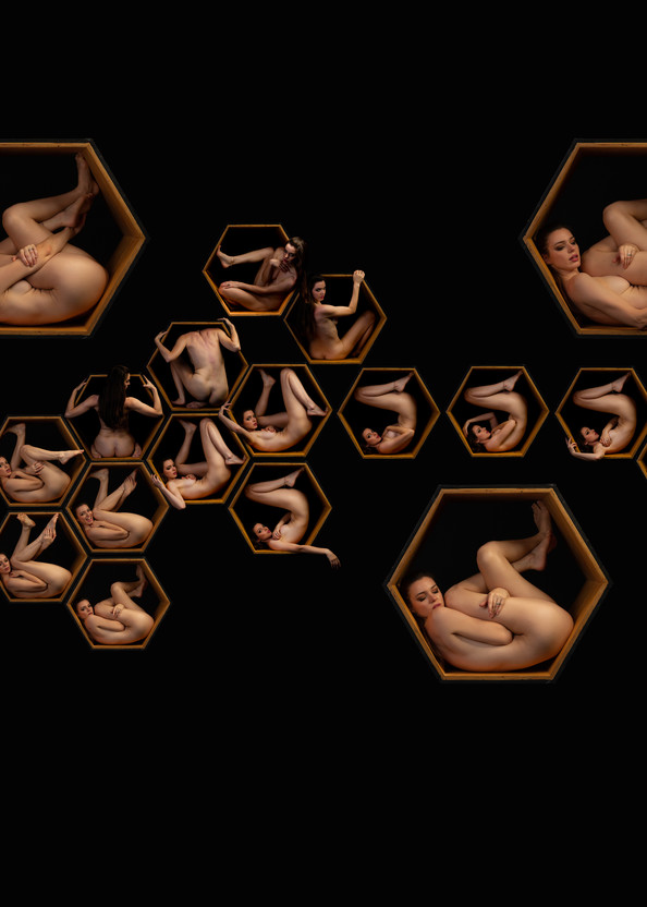 Hexagon Creation: Erin