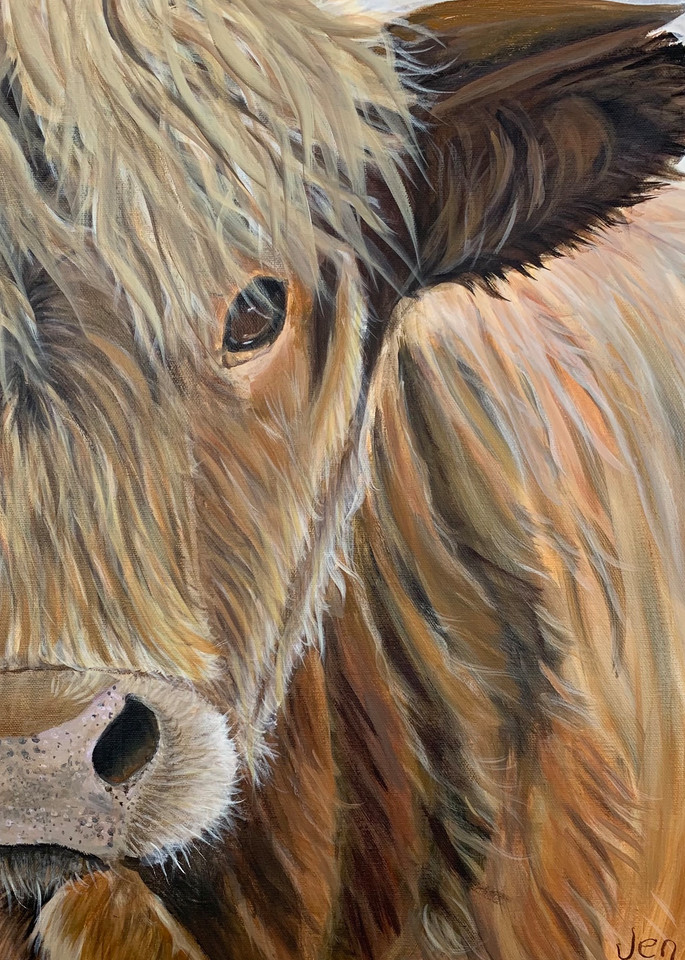 Painting of a highland cow named Benny


