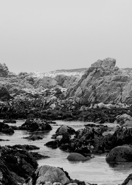 Ocean, Stone & Tree Art | James Alfred Friesen