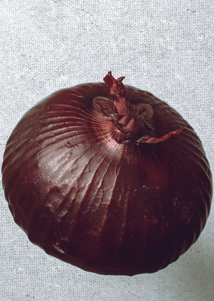 Food Canvas Red Onion by Nathan Larson.