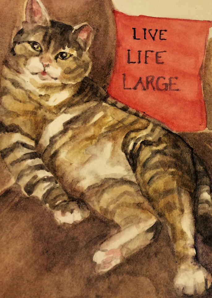 Cats Live Large