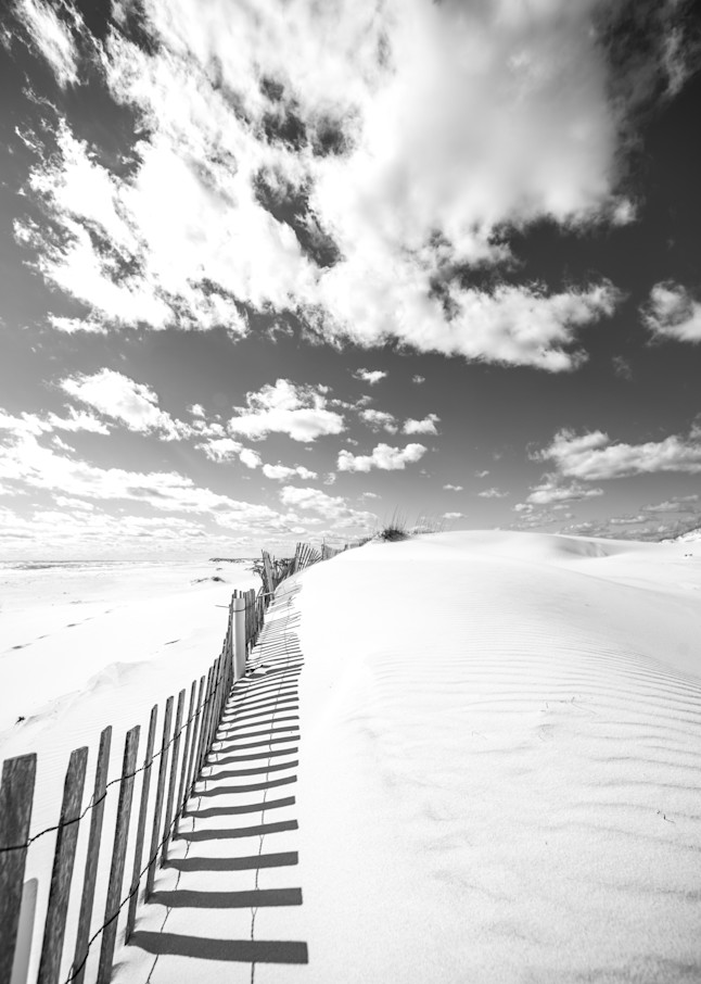 Dune Shadows Art | Modus Photography