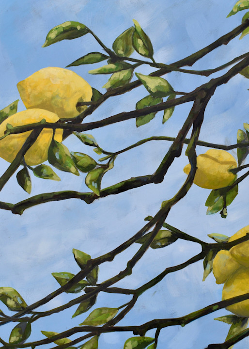 Giclee Print -  Italian Lemons - by April Moffatt