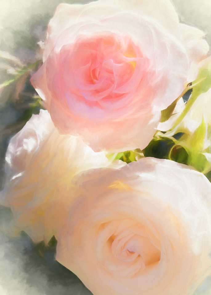 Pearlescent Roses