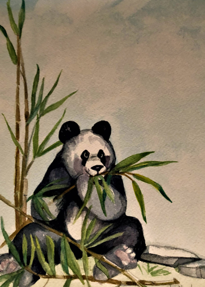 Panda's Hungr Y Art | Phyllis Tracy Fine Art