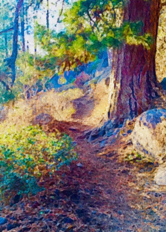 Meadow Camp Trail Art | Scott Dyer Fine Art