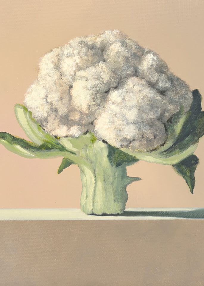 Cauliflower Art | Richard Hall Fine Art