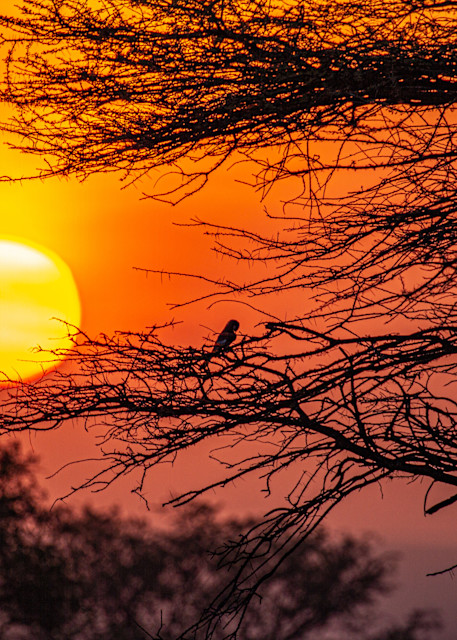 Tanzania Sunset Photography Art | waynesimpson