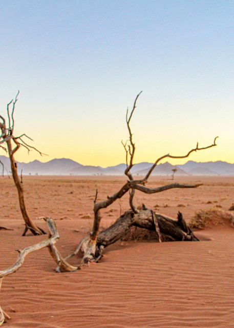 Namibia Desert Photography Art | waynesimpson