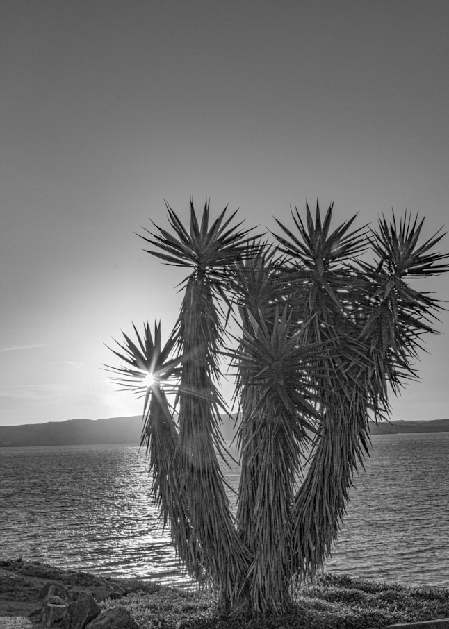 Namibia Sunset Starburst Black And White Photography Art | waynesimpson