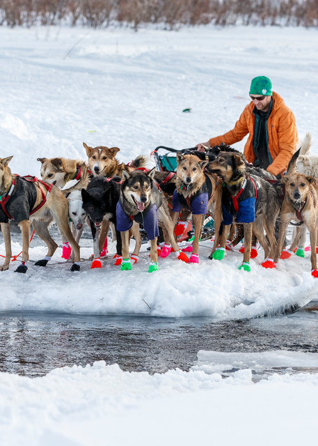Kelly Maixner walks his dogs across the open water of the Happ RIver in Ptarmigan Valley on the way to Rohn from the Rainy Pass checkpoint during Iditarod 2016.  Alaska.  March 07, 2016.  

Photo by Jeff Schultz (C) 2016 ALL RIGHTS RESERVED