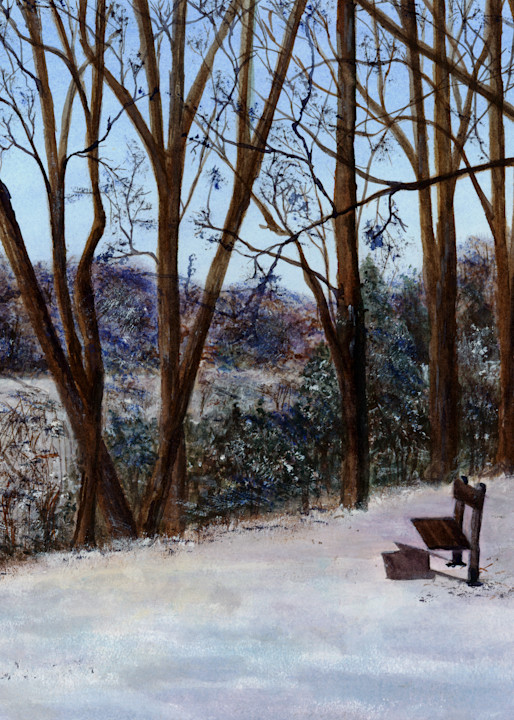 The Bench In The Park  Art | Sharon Bacal - Fine Art
