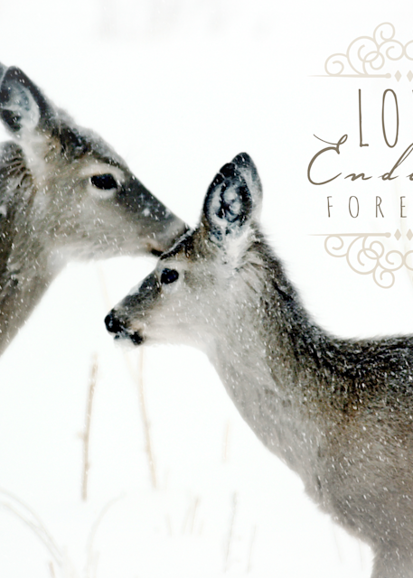 Deer Love Endures Forever Art