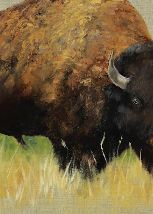 Standing Bull Art Prints Art | Marsha Clements Art
