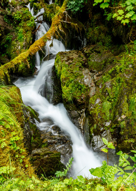 Summer landscape of virgin creek and falls in Chugach Natioinal Forest  Southcentral, Alaska  Girdwood

Photo by Jeff Schultz/  (C) 2020  ALL RIGHTS RESERVED