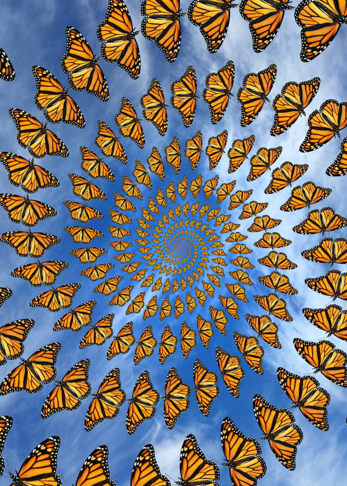 Monarch Migration Art | geometricphotographica