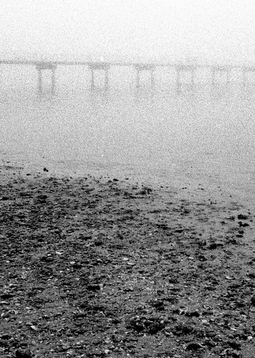 Foggy Pier On Bay,  Fl Photography Art | MWest Fine Art Gallery