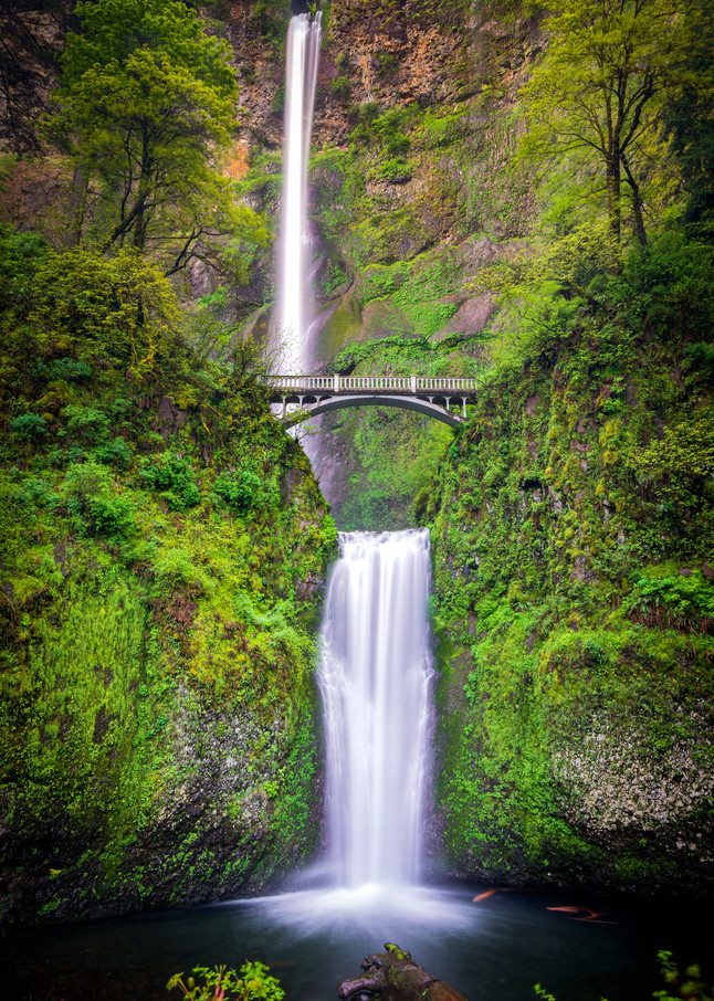 In Love With Multnomah Photography Art | marcyephotography