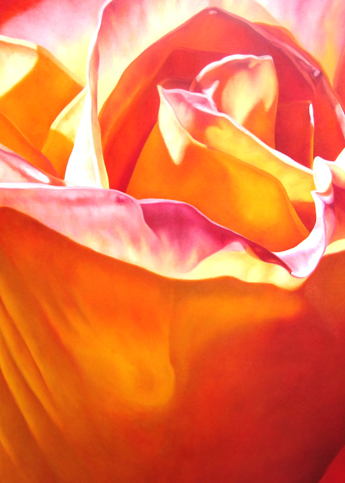 Orange Passion   Products Art | Mercedes Fine Art