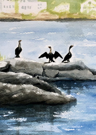Cormorants on a Rock painting by Holly Whiting