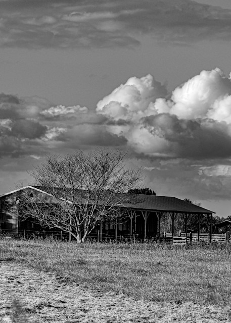 Chandler Perkins - photography - black and white - landscape - nature - farms - Griffin - Ain't No City Home