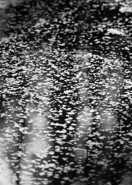 Water Reflections Photography Art | Lori Ballard Photography