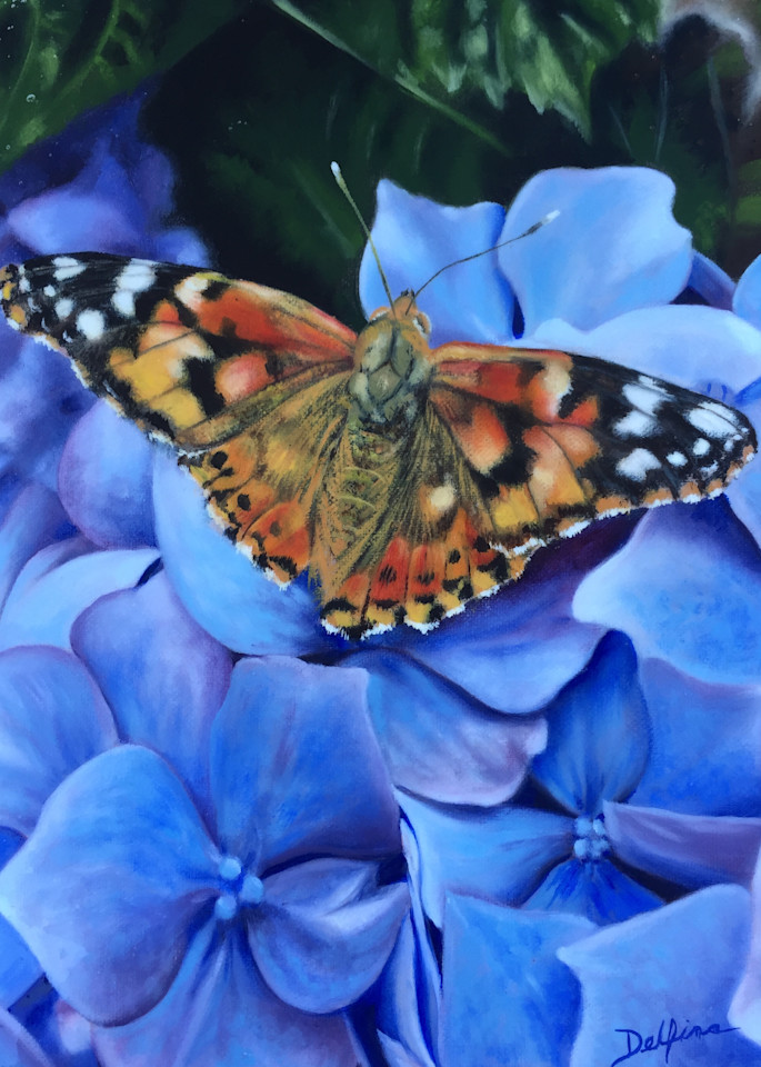Butterfly Art | Wildlife Creations