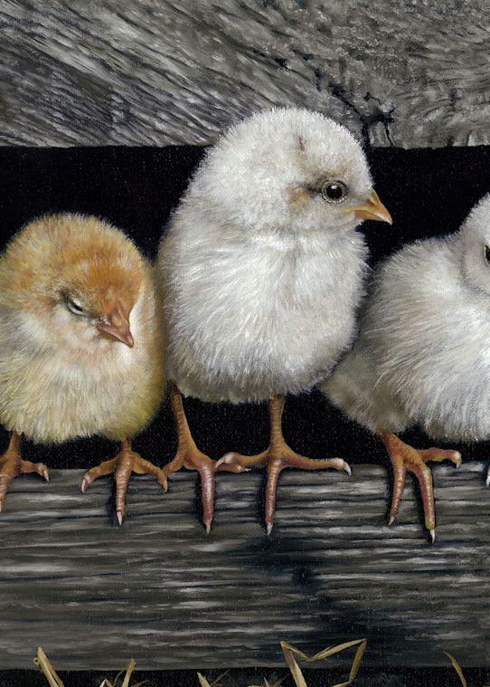 Chicks Art | Wildlife Creations