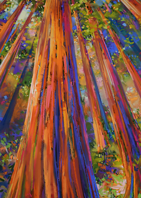 Redwoods Up! Art | Michael Mckee Gallery Inc.