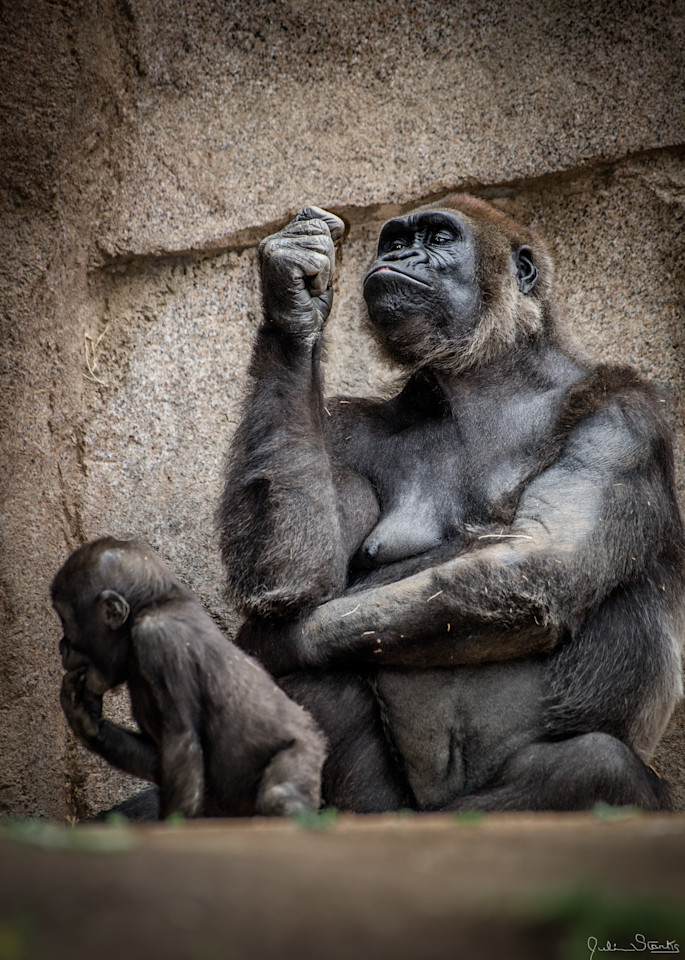 The Thinker In Full Thought! (Gorilla With Attitude 1 Of 2) Photography Art | Julian Starks Photography LLC.
