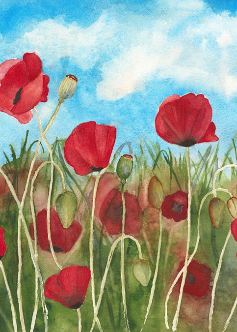 Poppies For Our Veterans Art | Katherine Rodgers Fine Art