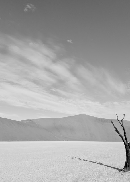 Beautiful desert landscape in black & white.