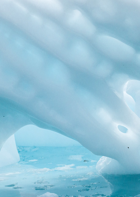 Amazing forms of an iceberg, Antarctica | Nicki Geigert, Photographer