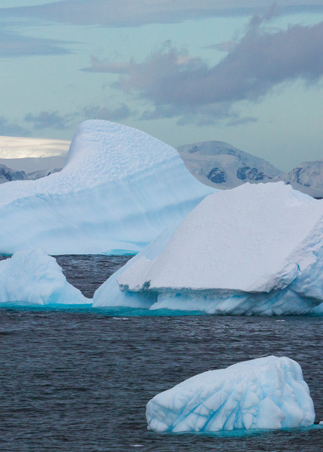 Icebergs with interesting shapes at sea with glaciers and mountains in the background under a blue sky