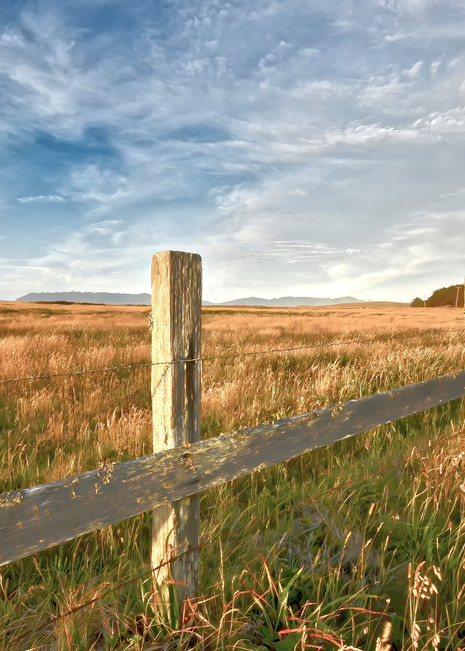 Landscape Photo Prints:  Grass field and old fence in northern california.