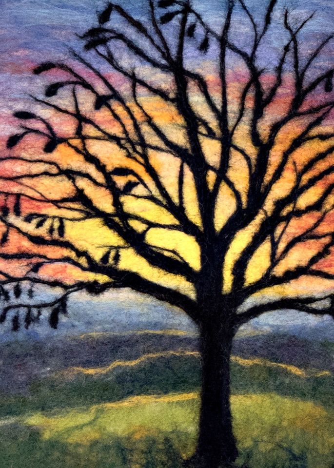 vivid, sky, sunset, tree, silhouette, print,