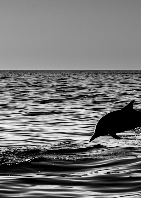 Ocean Silhouette Photography Art | Garsha18 Fine Art Photography