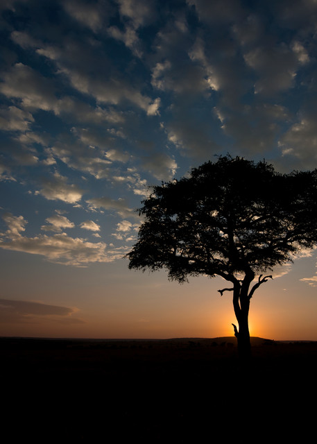 Lovely sunrise photo from Africa,