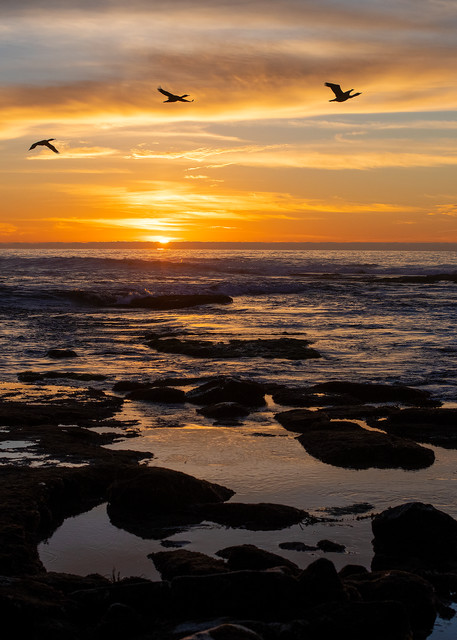 Sunset & 3 Birds Over The Tide Pools At Casa South, La Jolla 01.02.21 Photography Art | Pacific Coast Photo