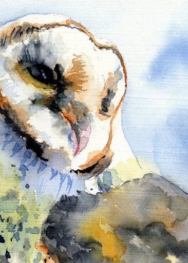 Superb Owl  Art | Machalarts Watercolor Studio