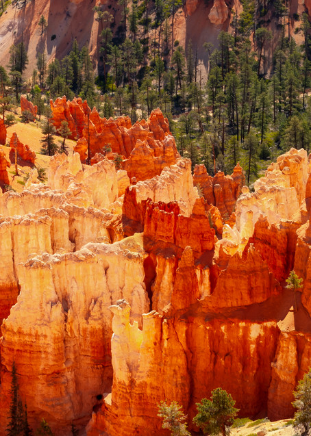 Bryce  Canyon National Park Colors Photography Art | Great Wildlife Photos, LLC