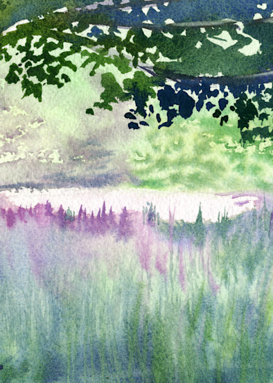 Quiet Field Of Lupines Art | Machalarts Watercolor Studio