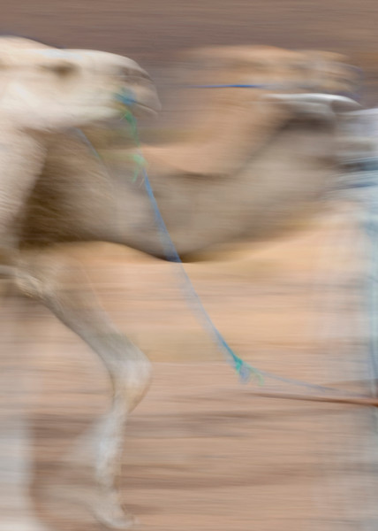 Morocco | Sahara,  Bedouin Blur Photography Art | Brian McGilloway Photography